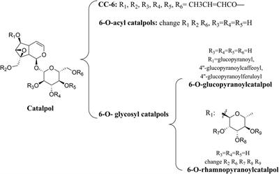 Terpenoid natural products exert neuroprotection via the PI3K/Akt pathway